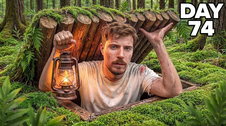 Day 74: Surviving Solo in the Forest Shelter