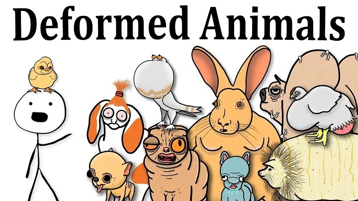 How AI Deformed These Animals