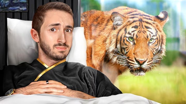 I Slept with a Live Tiger in My Bedroom!